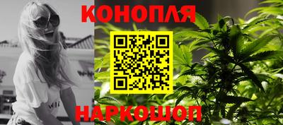 крисы Гагарин