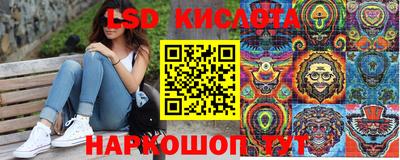 крисы Гагарин